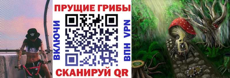Псилоцибиновые грибы прущие грибы  blacksprut как войти  Шадринск  где купить  